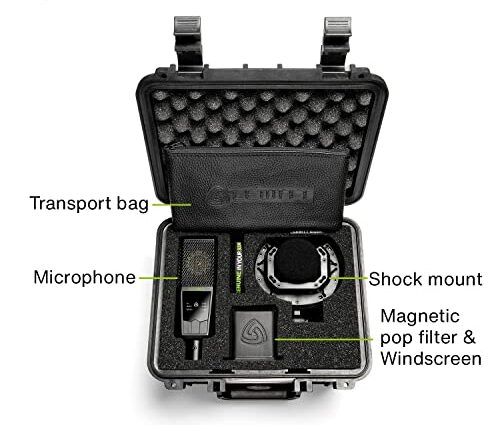 Boc content view of LEWITT LCT 540 S Large-Diaphragm Studio Condenser Microphone